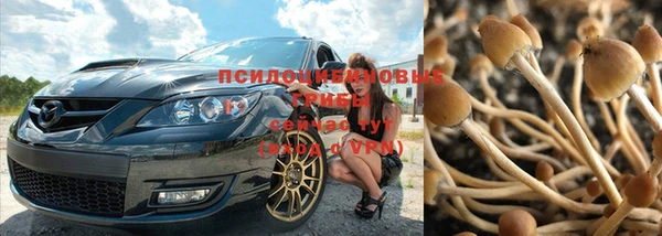 трава Гусев