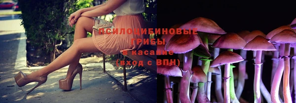 трава Гусев