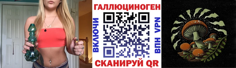 Купить  Темрюк  Псилоцибиновые грибы MAGIC MUSHROOMS 